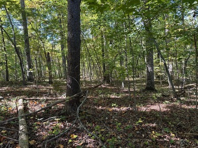 Watts Bar Lake Lot For Sale in Spring City Tennessee