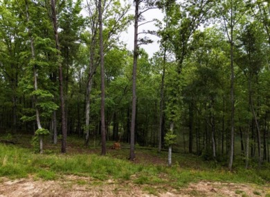 Jump right into lake living on this gentle sloped lot with a - photo 3