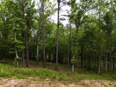 Jump right into lake living on this gentle sloped lot with a - photo 10