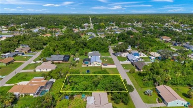 Beautiful lot located in Port Charlotte, Florida and ready for - photo 3