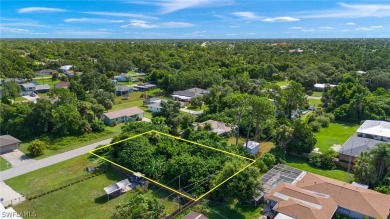 Beautiful lot located in Port Charlotte, Florida and ready for - photo 6