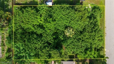 Beautiful lot located in Port Charlotte, Florida and ready for - photo 8