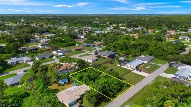 Beautiful lot located in Port Charlotte, Florida and ready for - photo 9