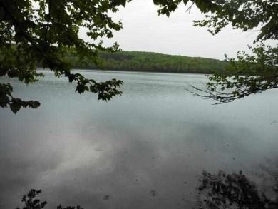 Swan Lake - Iron County Lot For Sale in Crystal Falls Michigan
