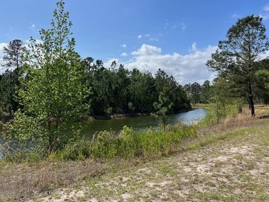 Build your dream lifestyle on the water in Lakeside at Longwood - photo 3