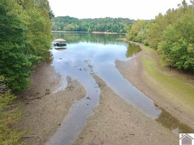Waterfront lot in Terrapin Creek that is dockable with Corp of - photo 11