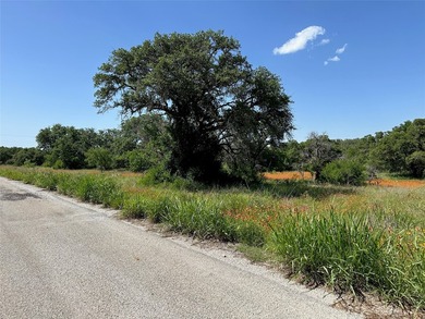 Build your dream home in the highly sought-after Kings Point - photo 2