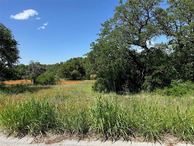 Build your dream home in the highly sought-after Kings Point - photo 3