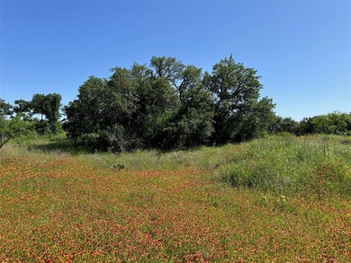Build your dream home in the highly sought-after Kings Point - photo 5