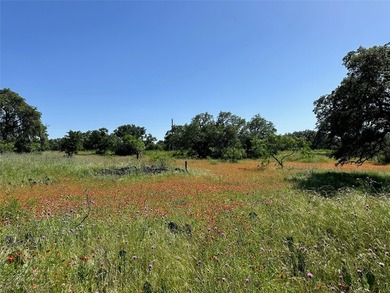 Build your dream home in the highly sought-after Kings Point - photo 9