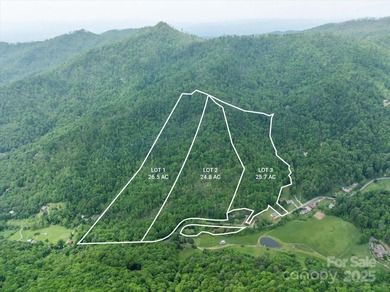 (private lake, pond, creek) Acreage For Sale in Weaverville North Carolina