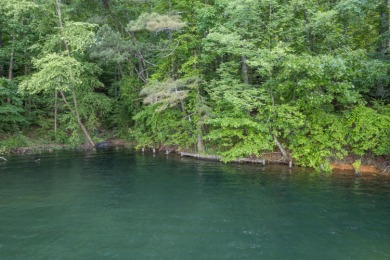 Rare lot available on the Jasper side of the lake, close to the - photo 3