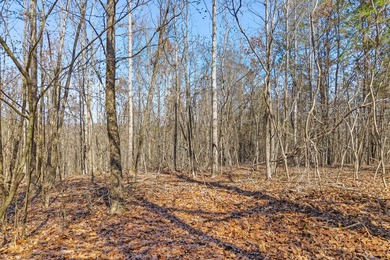 Watts Bar Lake Lot For Sale in Spring City Tennessee