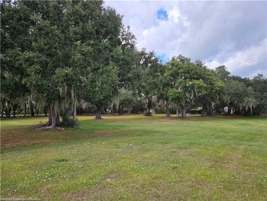 Are you looking for the perfect starter home? Check out this 2/1 - photo 50
