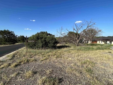 This beautiful lot is a gem! Beautiful trees and mostly level - photo 2