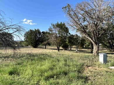 This beautiful lot is a gem! Beautiful trees and mostly level - photo 4