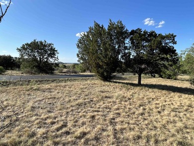 This beautiful lot is a gem! Beautiful trees and mostly level - photo 8