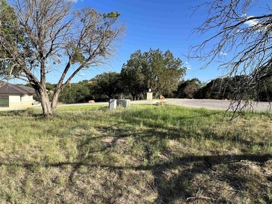 This beautiful lot is a gem! Beautiful trees and mostly level - photo 10