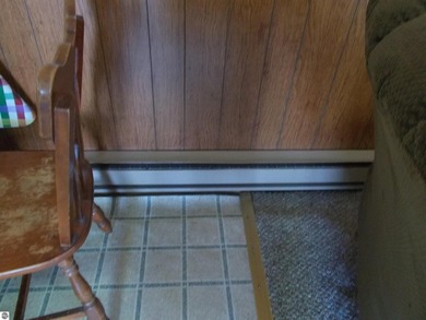 Now is your chance to have an affordable cottage on the lake. No - photo 12