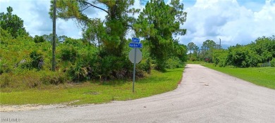 Lehigh Acres Area Lot For Sale in Lehigh Acres Florida