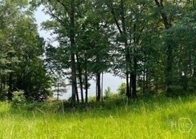 This lot is ready and waiting for you to build your dream home - photo 5