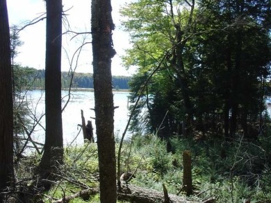 Thousand Island Lake Acreage For Sale in Watersmeet Michigan