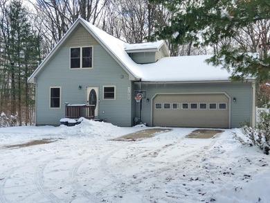 Lake Home For Sale in Stanwood, Michigan