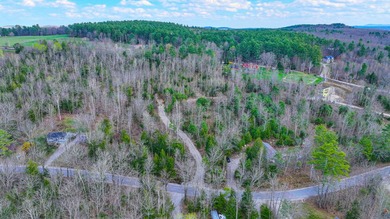 Discover an exceptional 7.32-acre view lot offering a rare - photo 8