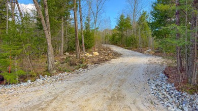 Discover an exceptional 7.32-acre view lot offering a rare - photo 9