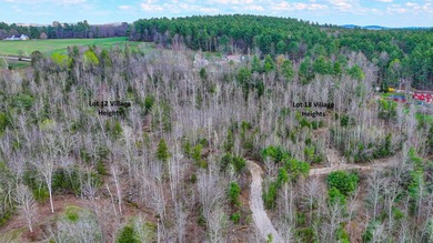 Discover an exceptional 7.32-acre view lot offering a rare - photo 10