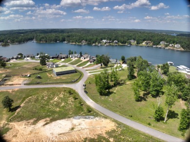 Beautiful corner lot in the gated Sipsey Shores community! This - photo 5