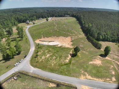 Beautiful corner lot in the gated Sipsey Shores community! This - photo 8