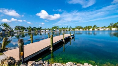 (private lake, pond, creek) Home For Sale in Naples Florida