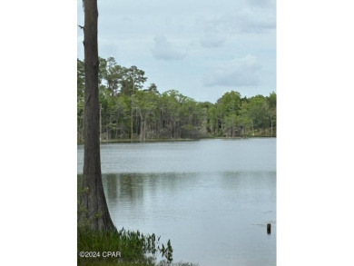 Dunford Lake Lot For Sale in Chipley Florida