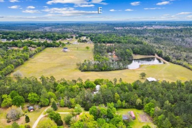 (private lake, pond, creek) Acreage For Sale in Cantonment Florida