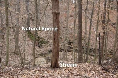 **Beautiful Country Land Just 45 Minutes from Nashville!** A - photo 5