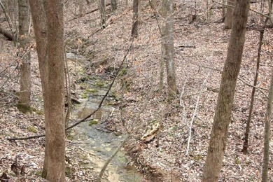 **Beautiful Country Land Just 45 Minutes from Nashville!** A - photo 6