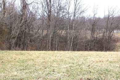 **Beautiful Country Land Just 45 Minutes from Nashville!** A - photo 10