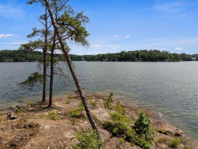 SMITH LAKE / ARLEY - Offered on the market for the very first - photo 2