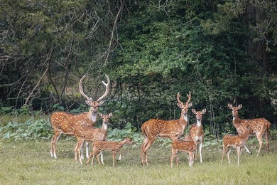 Welcome to refined Hill Country living in New Ulm, where - photo 25