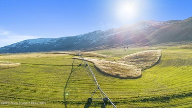 The Arrow S Ranch is a diverse and immense farm and ranch - photo 3