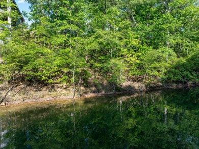 Great waterfront lot located in the up-and-coming Grand Vista - photo 4