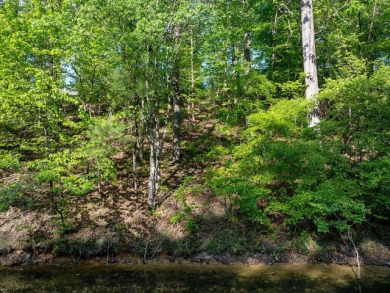 Great waterfront lot located in the up-and-coming Grand Vista - photo 6
