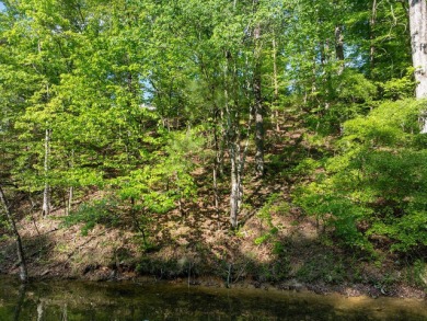 Great waterfront lot located in the up-and-coming Grand Vista - photo 7
