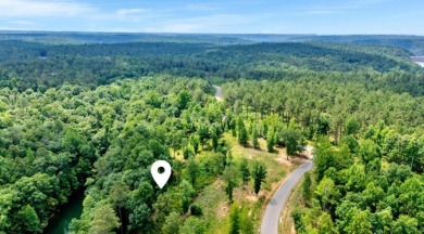 Excellent investment opportunity on this lot located in a highly - photo 6