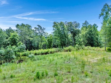 Excellent investment opportunity on this lot located in a highly - photo 7