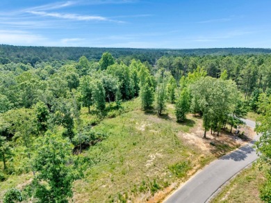 Excellent investment opportunity on this lot located in a highly - photo 8