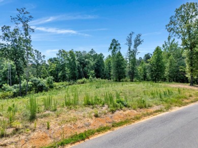 Excellent investment opportunity on this lot located in a highly - photo 9