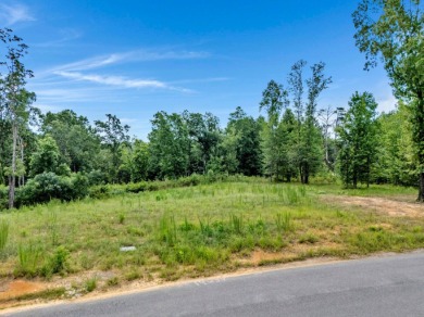 Excellent investment opportunity on this lot located in a highly - photo 10