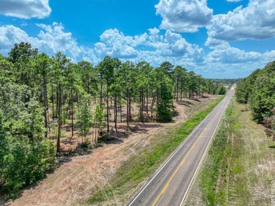 +/-20 acres on Lake Sam Rayburn! Rare opportunity to own - photo 11